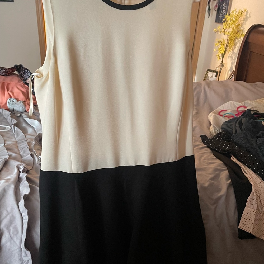 Never worn beautiful dress - Picture 2 of 4